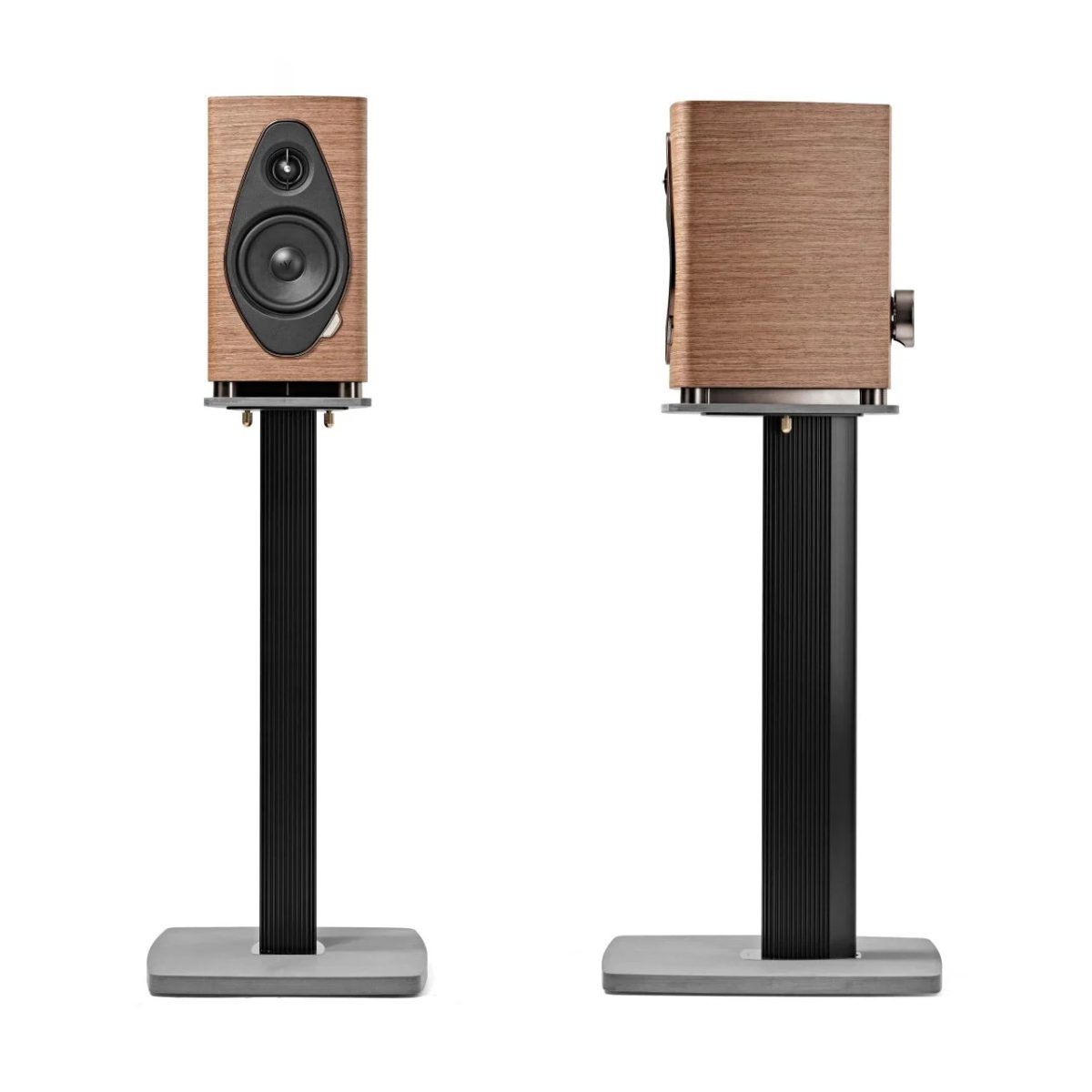 Sonetto Stands